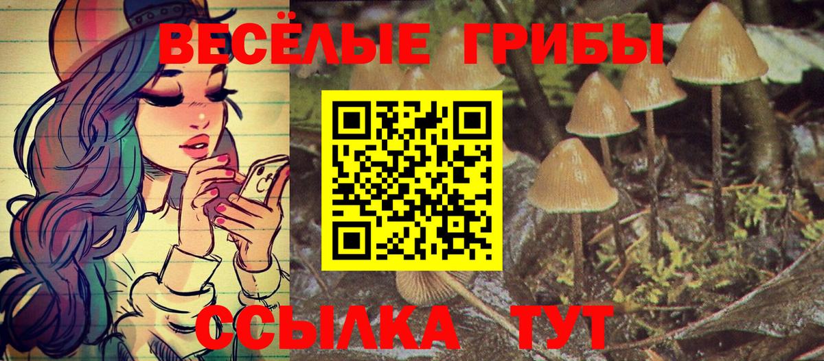Псилоцибиновые грибы прущие грибы Сергиев Посад