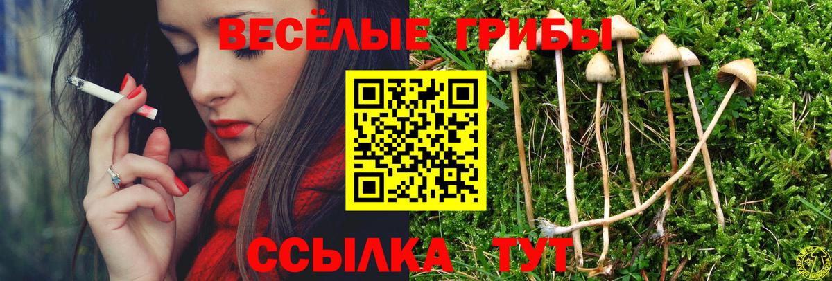 Псилоцибиновые грибы мицелий  Вход с VPN  Сергиев Посад 